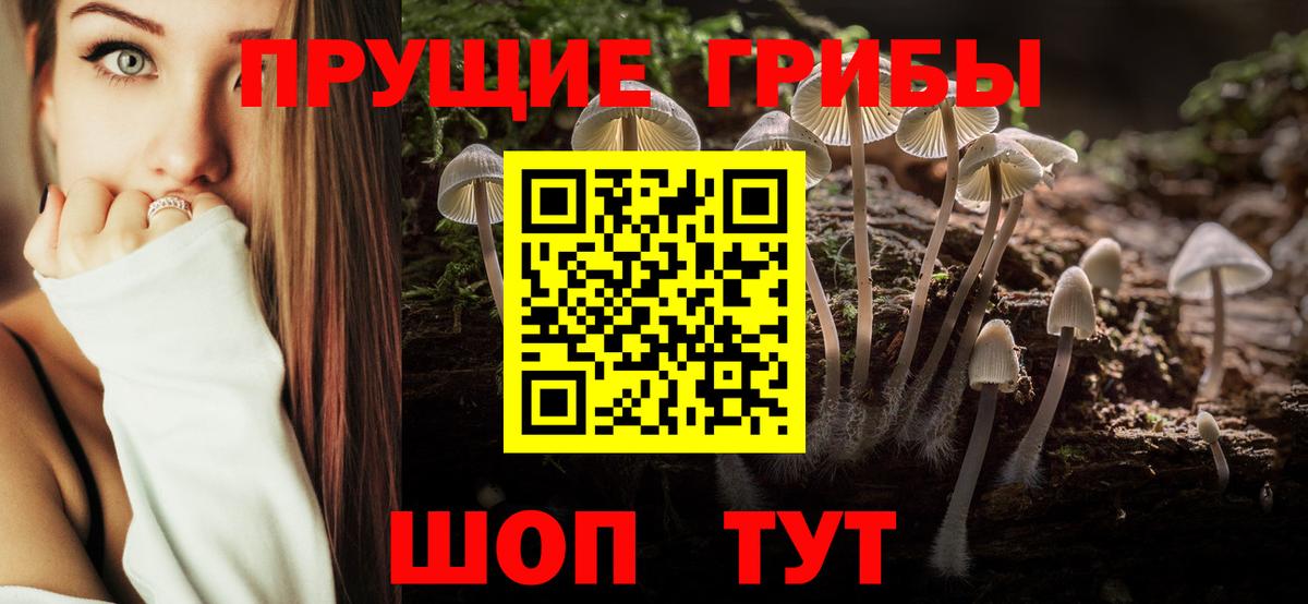 где найти наркотики  Вход с VPN  Партизанск  Галлюциногенные грибы Magic Shrooms 