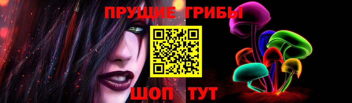 Галлюциногенные грибы Psilocybe Партизанск